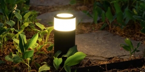 20 Outdoor Lighting Ideas to Make Your Plants Shine
