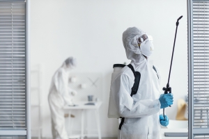 Effective Pest Control Solutions: Safeguarding Your Space