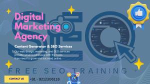 SEO Training Free for Beginners to Learn Online