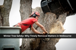 Winter Tree Safety: Why Timely Removal Matters in Melbourne