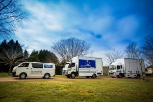 Stress-Free Moving with a Professional Removalist Coburg