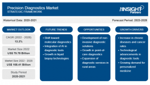Der Markt für Präzisionsdiagnostik: Schlüsselunternehmen, Schlüsselsegmente und Wachstumsstrategien