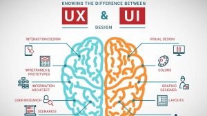 Why Custom Software Development Is the Backbone of Digital Success in USA