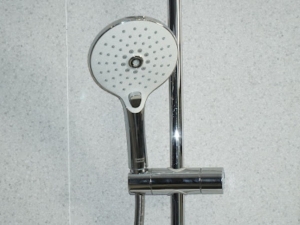 Instant Shower Water Heaters: Efficiency Meets Convenience