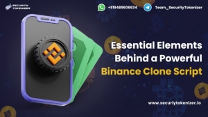 Essential Elements Behind a Powerful Binance Clone Script