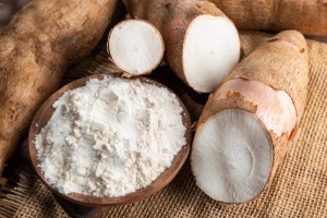 Cassava Starch Market Set to Soar with Novel Enzymatic Conversion Advance