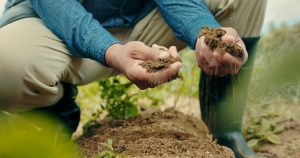 How Fungi and Bacteria in Soil Improve Plant Growth Naturally