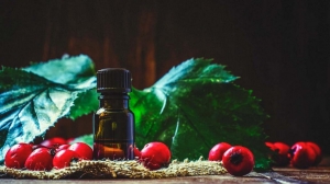 Rosehip Oil Processing Plant Setup Cost : Detailed Project Report and Business Plan
