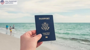 USA Passport Application Online: How To Replace Lost Passport During US Travel