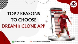 Top 7 Reasons To Choose Dream11 clone app