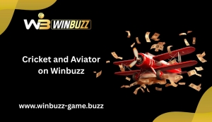 Winning Moves: Cricket and Aviator Insights on Winbuzz