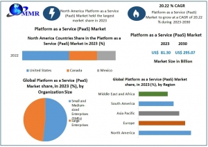 Platform as a Service (PaaS) Market Top Producers and Consumers, Consumption, Share and Growth Opportunity-2030