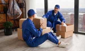 moving companies washington dc​