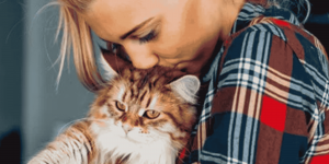 Maintaining Pets' Health: Vaccination Service at Topanga Veterinary Hospital