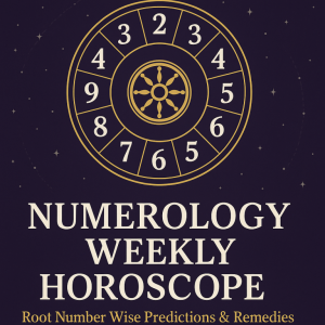 Famous Astrologer in Nagpur: Your Guide to Clarity, Confidence, and Cosmic Wisdom