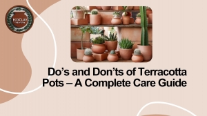 Do’s and Don’ts of Using Terracotta Pots – A Complete Care Guide