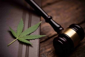 A Simple Guide on How to Get a VA Medical Cannabis Card Online