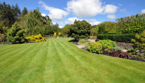 Expert Landscaping and Hardscape Services Near Palm Coast, Florida – Transform Your Outdoor Space with Sousa Landscaping and Sitework LLC