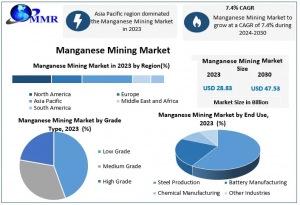 Manganese Mining Market Top Producers and Consumers, Consumption, Share and Growth Opportunity-2030