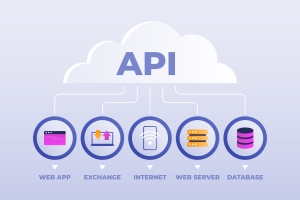 API Development 
