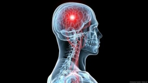 Cerebral Somatic Oximeters Market Booms with AI-Driven Analytics
