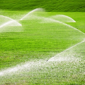 Top Benefits of Hiring Local Irrigation Companies