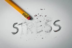 Stress Management Techniques for Financial Wellness: How to Find Peace and Prosperity
