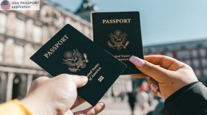 Do Passports Have Addresses on Them? Understanding Passport Information Requirements