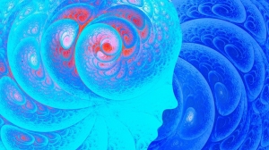 Inside Oregon’s Psilocybin Facilitator Training: How to Legally Guide Psychedelic Journeys in 2025