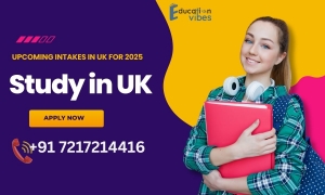 How much does it cost to study in the UK for Indian students after 12th?
