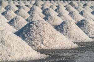 How the Best Manufacturer of Dolomite Powder in India Supports Industrial Growth