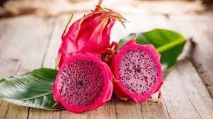 Pitaya Processing Plant Setup Cost : Detailed Project Report and Business Plan