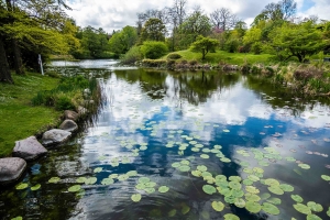 From Drops to Discoveries: How Pond Water Microorganisms Teach Us About Ecosystem Health