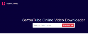 SSYouTube Downloader Converter is supported many file Formats 