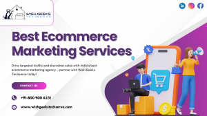 Targeted Ecommerce Social Media Marketing Services in India to Enhance Customer Reach and Maximize ROI - Wish Geeks Techserve