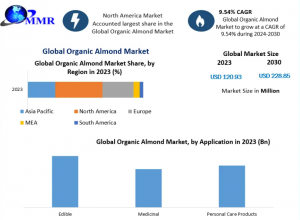 Organic Almond Industry Forecast: Industry Trends, Growth Drivers, and Regional Insights (2024 Research Report)