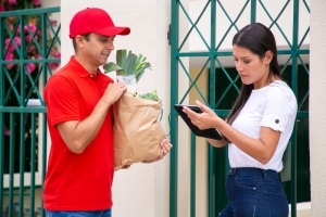 Chile Food Delivery Market Size & Industry Share 2025-2033