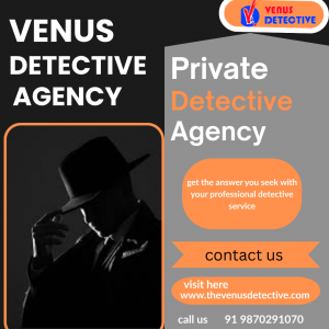 Find the Most Reliable Detective Agency in Pune – The Venus Detective Agency