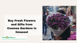 Buy Fresh Blooms from the Best Flower Boutique in Limassol