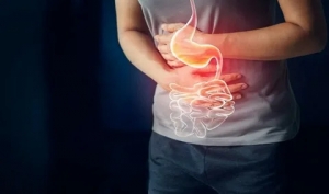 Gastroenterology Market is Estimated to Witness High Growth Owing to AI-Enabled Endoscopy