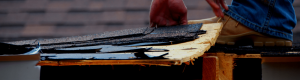 Getting through the roof damage insurance claim process in Florida