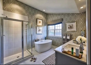 ACE DECOR – Redefining Modern Bathroom Spaces with Style and Function