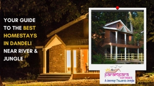 Your Guide to the Best Homestays in Dandeli Near River & Jungle