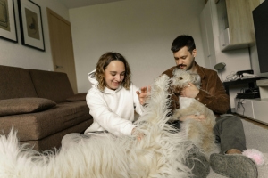 Traveling With Pets? Here’s How to Find the Best Pet-Friendly Hotels Near You
