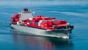 Trusted Solutions from Leading Container Carrier Companies