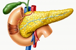 Top Things to Know About Pancreatic Surgery in Singapore