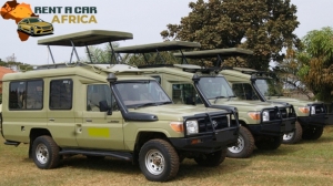 From Rainy to Roaring: Kenya’s Safari Seasons and Car Rental Tips