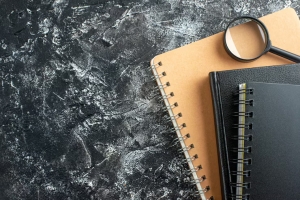 When Resumes Lie: The Hidden Dangers of Unverified Work History