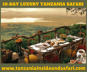 Disconnect to Reconnect: Why Tanzania Is the Ideal Safari Escape