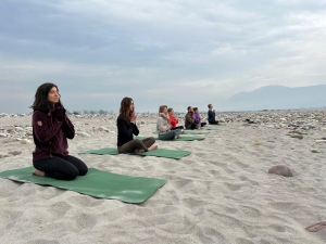 Yoga Lehrer Ausbildung Indien
